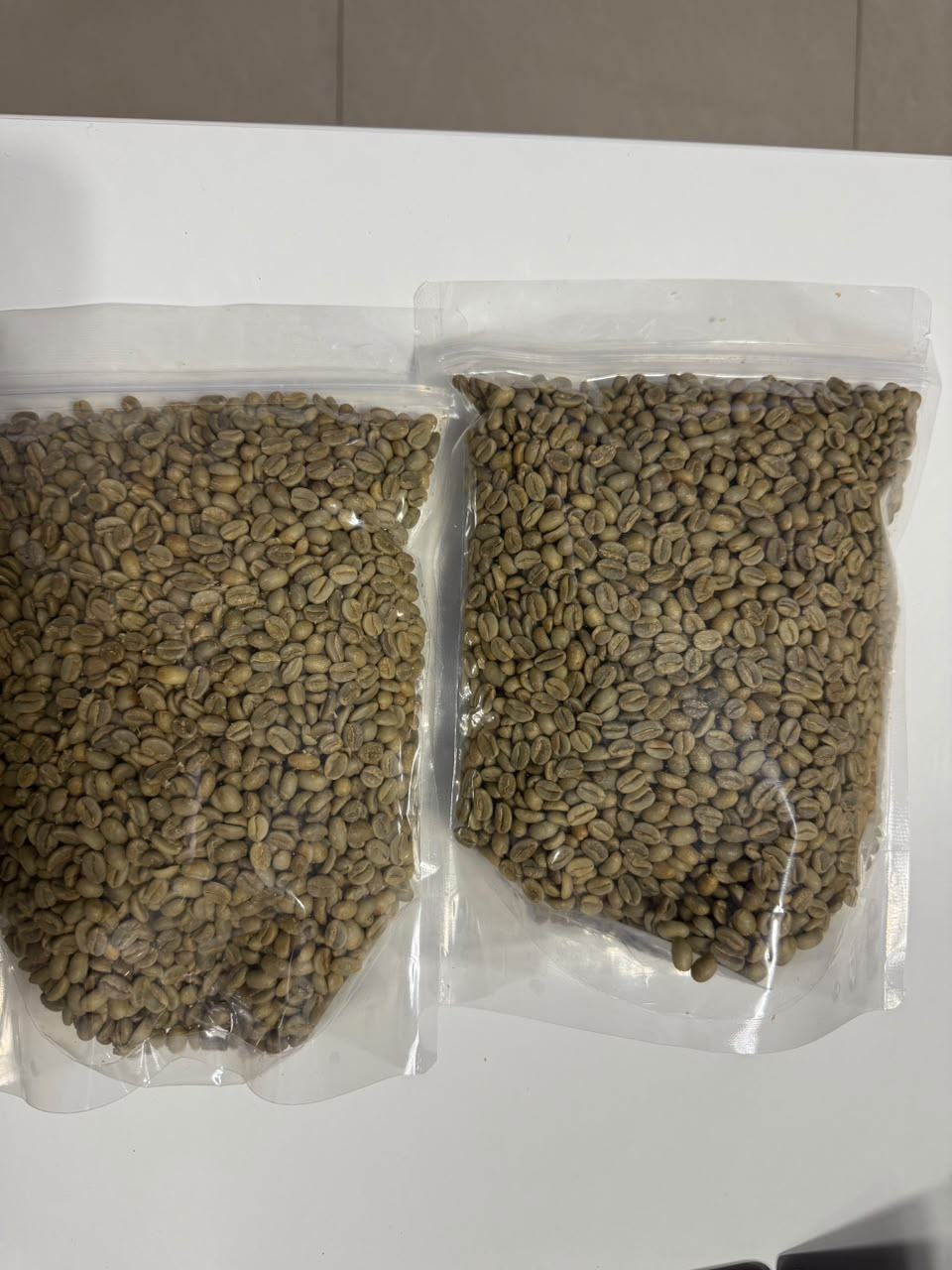 Two labelled green coffee sample bags from Moyica
