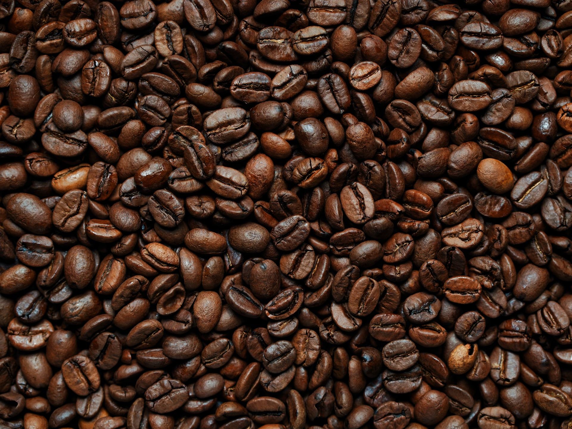Freshly roasted Ethiopian coffee beans