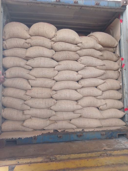 Jute bags of green coffee loaded in a shipping container