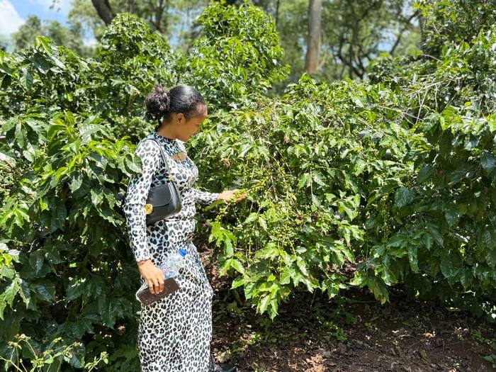 A farm visit at the Moyica plantation