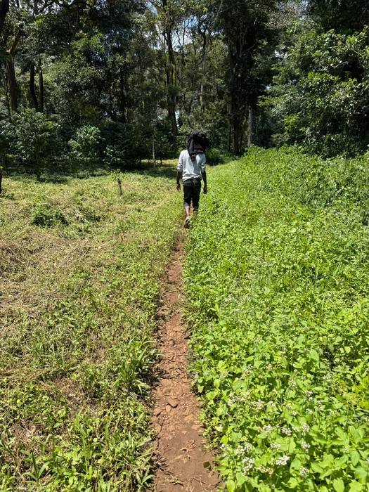 Footpath through the Kaffa biosphere reserve
