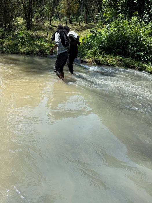 Farm staff crossing a river on the way to the plantation