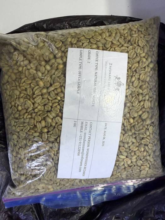 A labelled export sample of green coffee