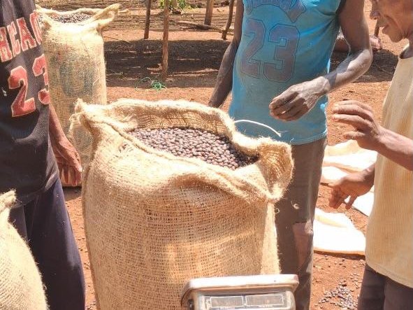 05. Store management — Moyica Coffee