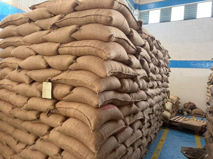 A full stack of 60 kg jute bags in the store